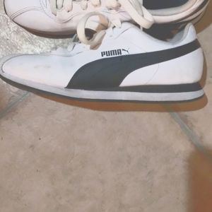 Puma shoes